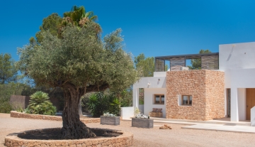 Resa Estates finca Can Floral Ibiza sale koop olive tree.jpg